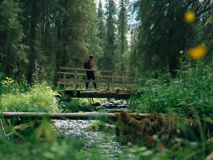 Coolcation meets Midnight Sun – Die besten Sommeraktivitäten in Lappland