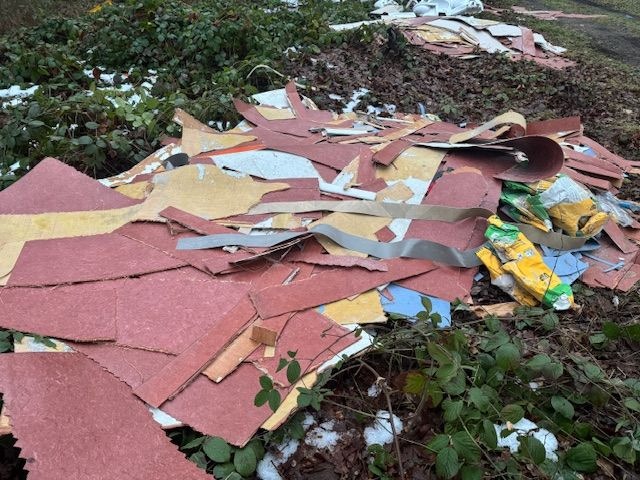 POL-RZ: Illegale Müllentsorgung - Zeugen gesucht