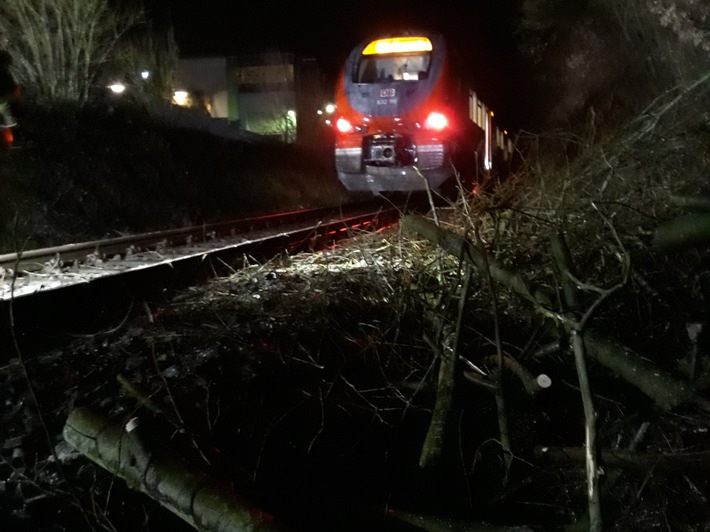 FW Menden: Personenzug kollidiert im Hönnetal mit umgestürzten Baum