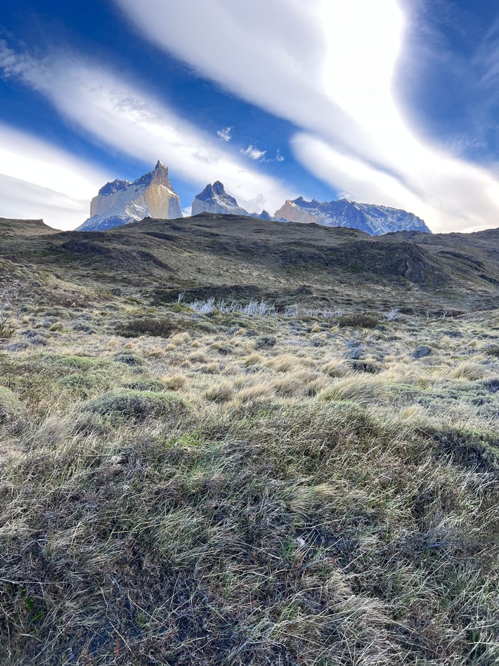 Fyne Travel_ Patagonien_Chile_ Daniela Lambers (67).jpg