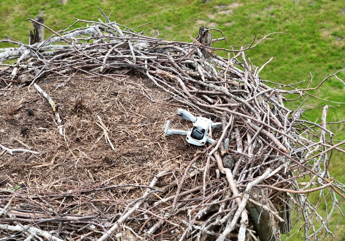 POL-LG: ++ Storchennest mit Drohne gestört - Tiere verlassen das Nest ++ Monitore und Empfänger aus landwirtschaftlichen Maschinen gestohlen ++ Alkoholisierte Radfahrerin von Zeugen festgehalten ++