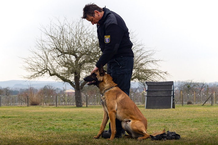 POL-GI: Ghost, Luna, Bones, Pepe und Ted - Neue Azubis beim Polizeipräsidium Mittelhessen - Vierbeiner im Prüfungsstress