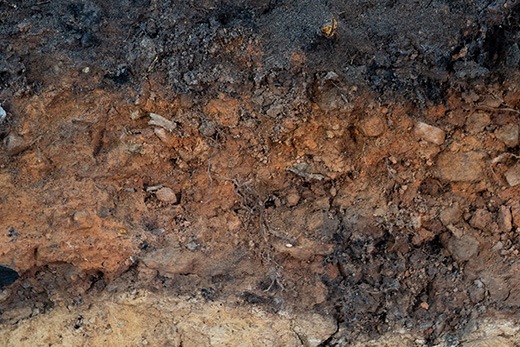 Hessen übernimmt Schirmherrschaft für den Archivboden – Boden des Jahres 2026