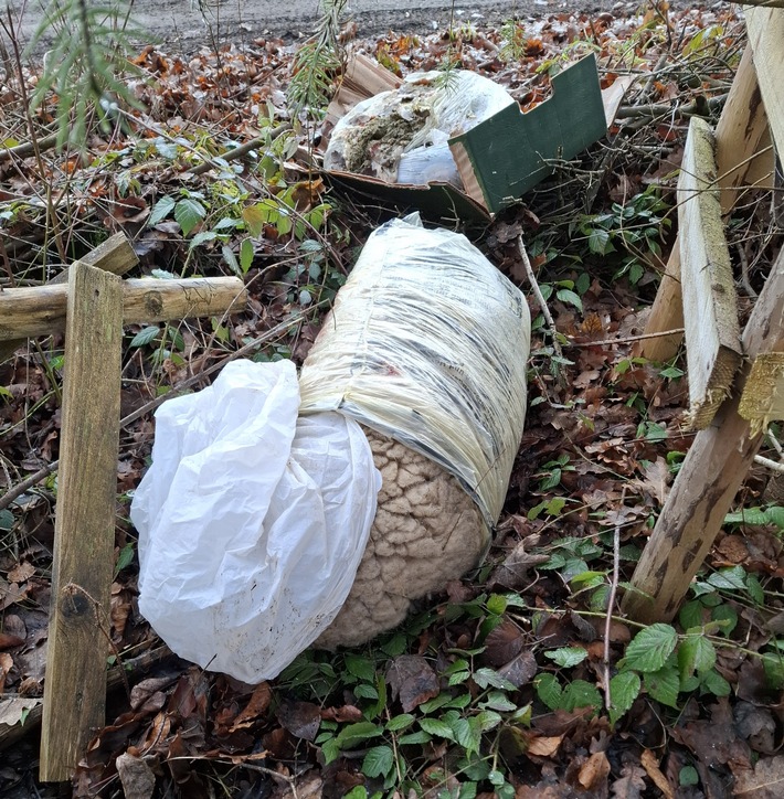 POL-UL: (BC) Ingoldingen - Tierabfälle am Waldrand entsorgt / Am Montag fand eine Spaziergängerin bei Ingoldingen Säcke mit Tierresten eines Schafes. Die hatte ein Unbekannter in den vergangen Tagen entsorgt.