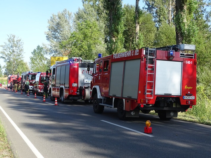 FW Reichenau: Flächenbrand im Wollmatinger Ried Schnelles Eingreifen der Feuerwehr verhindert Schlimmeres Reichenau, L221, Wollmatinger Ried, 18.08.2023