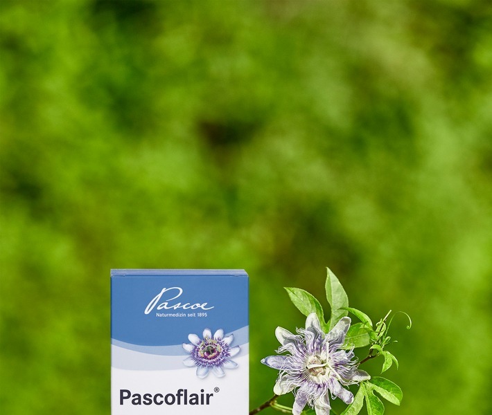 Pascoe-Passionsblume - Pascoeflair®. Weiterer Text über ots und www.presseportal.de/nr/12261 / Die Verwendung dieses Bildes ist für redaktionelle Zwecke honorarfrei. Veröffentlichung bitte unter Quellenangabe: "obs/Pascoe Naturmedizin/@pascoe naturmedizin"