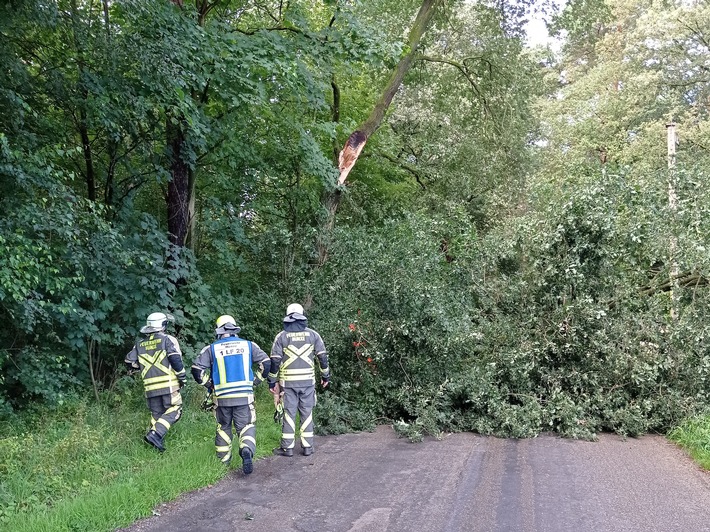FW Hünxe: Umgestürzter Baum blockiert den Krudenburger Weg
