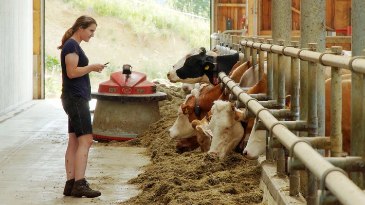 "Der digitale Bauernhof - Smartphone statt Heugabel": ORF/3sat-Doku über moderne Landwirtschaft