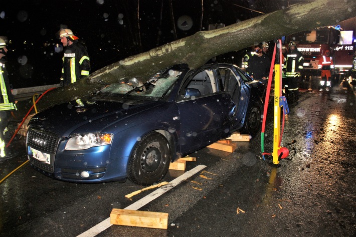 POL-HX: Baum stürzt auf Fahrbahn - Vier Personen leicht verletzt