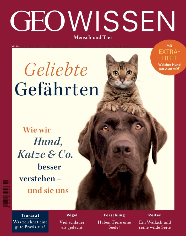 Geliebte Gefährten: Wie wir Hund, Katze &amp; Co. besser verstehen - und sie uns