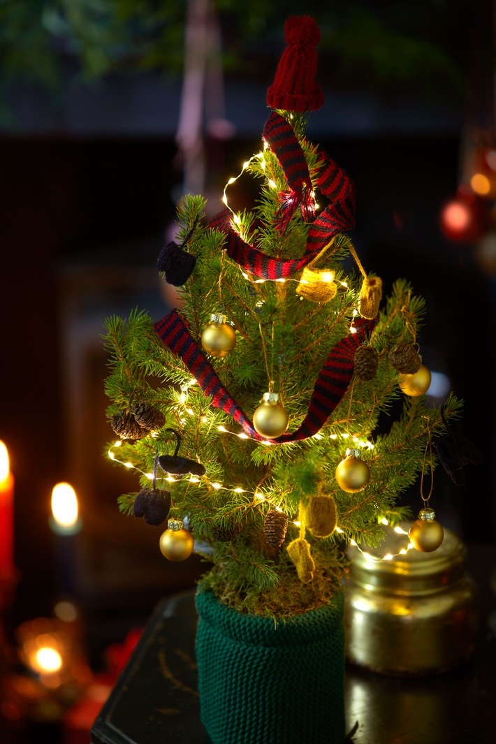 Ein besonderes Weihnachtsfest: Neue Bouquets und Kollektionen von Bloom & Wild für kostbare Erinnerungen