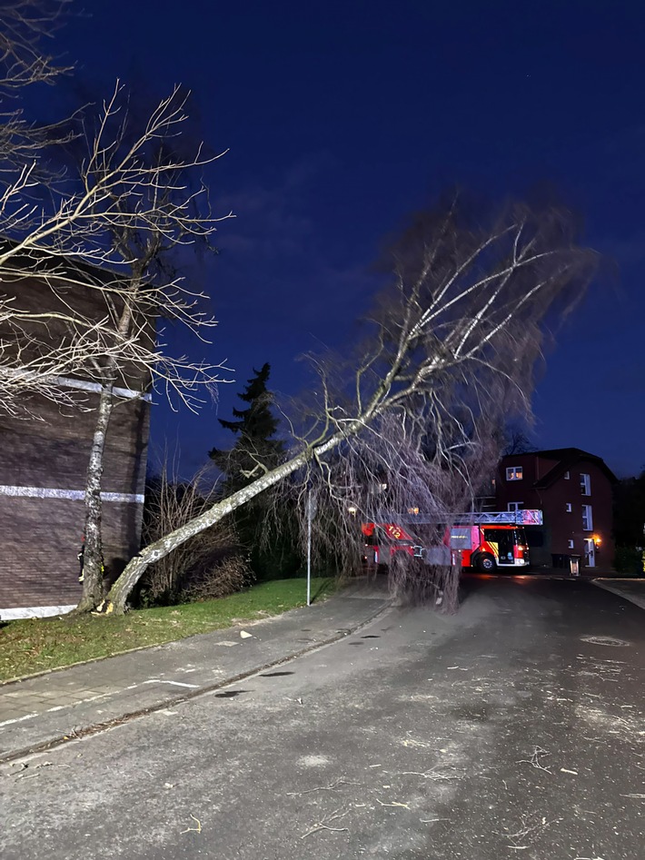 FW Bergheim: Mehrere Sturmeinsätze für die Feuerwehr Bergheim Sieben Einsätze im Stadtgebiet - Bäume auf Fahrzeuge gestürzt