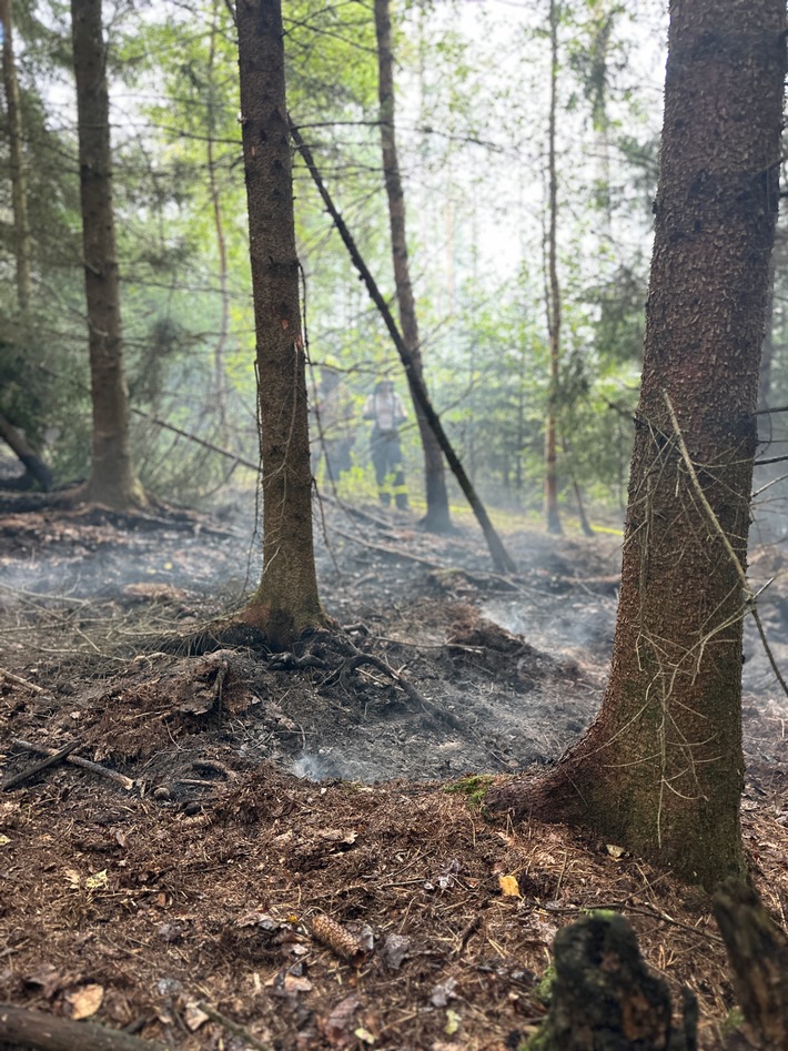 FW-DT: Flächenbrand im Leistruper Wald