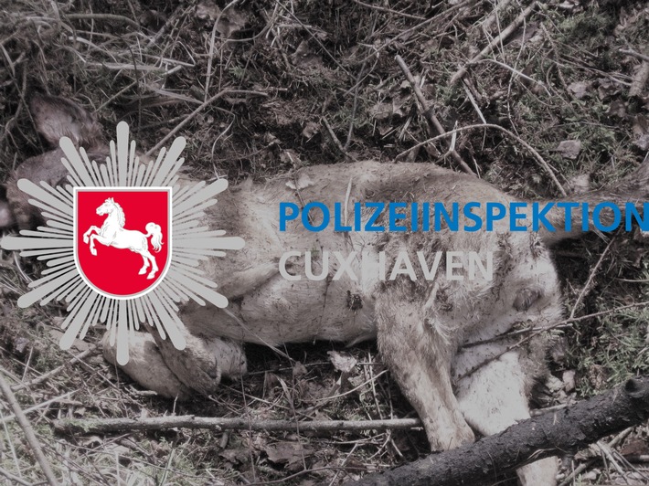 POL-CUX: Unbekannter legt getöteten Hund in Waldstück ab