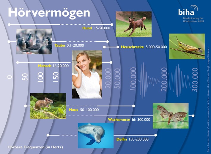 Keine Nebensache: Die wunderbare Welt des Hörens (FOTO)