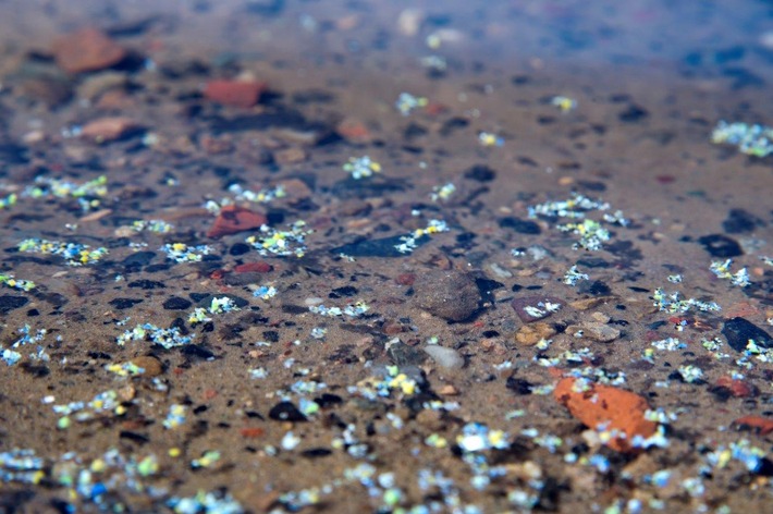 BAM-Forschungsprojekt will Mikroplastik im Wasser genauer Nachweisen