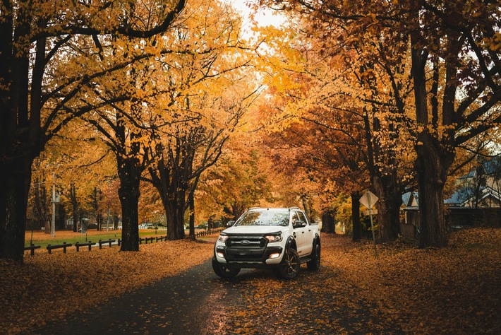 Jetzt Ihren SUV verkaufen – Der perfekte Zeitpunkt im Herbst!