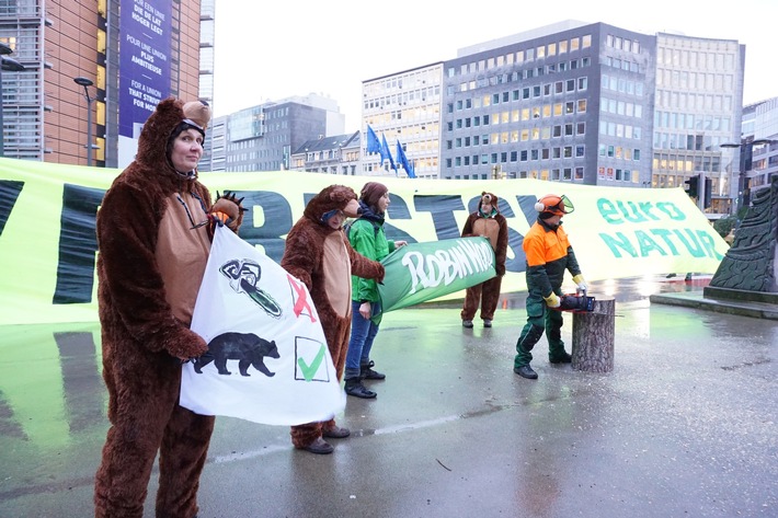 ROBIN WOOD-Protest zur internationalen Waldkonferenz in Brüssel