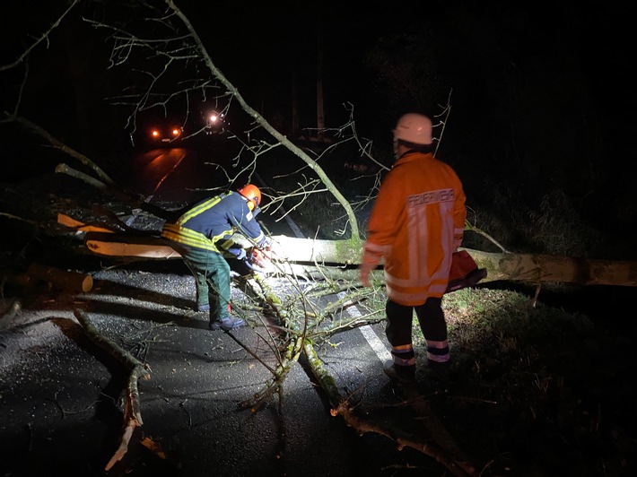 FW Flotwedel: PKW kollidiert mit umgestürzten Baum