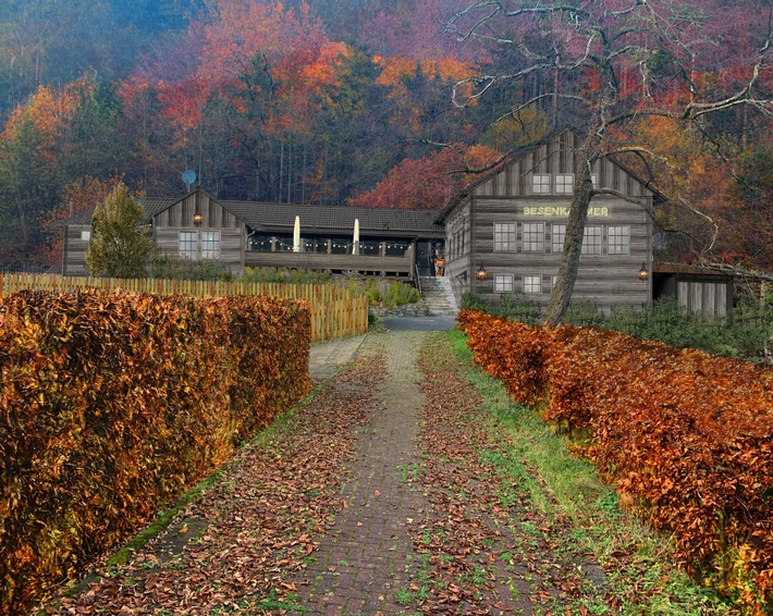 Unternehmerin entwickelt Coworking Space der Zukunft / Harz Hideaway