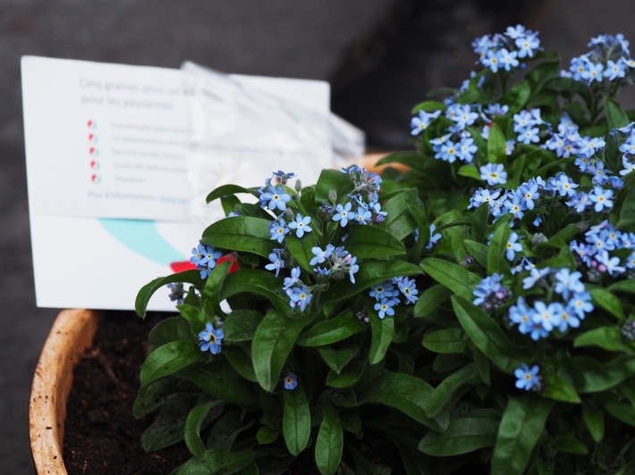 Communiqué de presse: remise de l