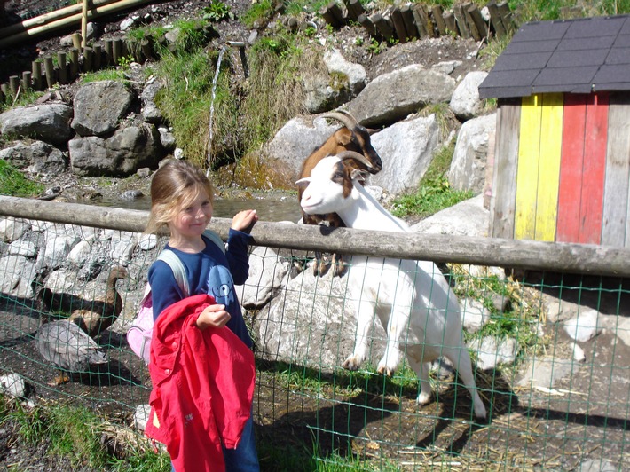 Brandnertal - Alpenstadt Bludenz - Klostertal:  Berge, Sommer und Familie - BILD