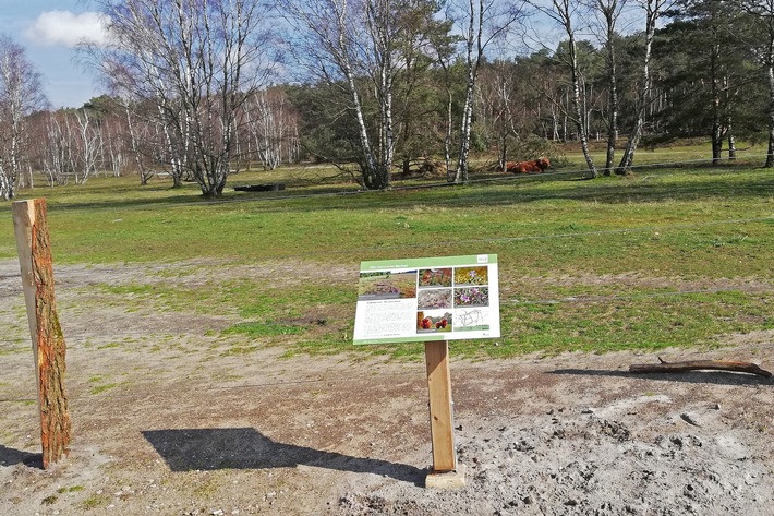 DBU: Wege am Fliegerberg für Besucher hergerichtet