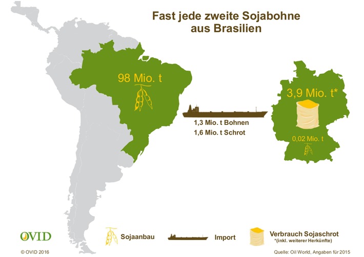 Soja-Moratorium in Brasilien jetzt dauerhaft