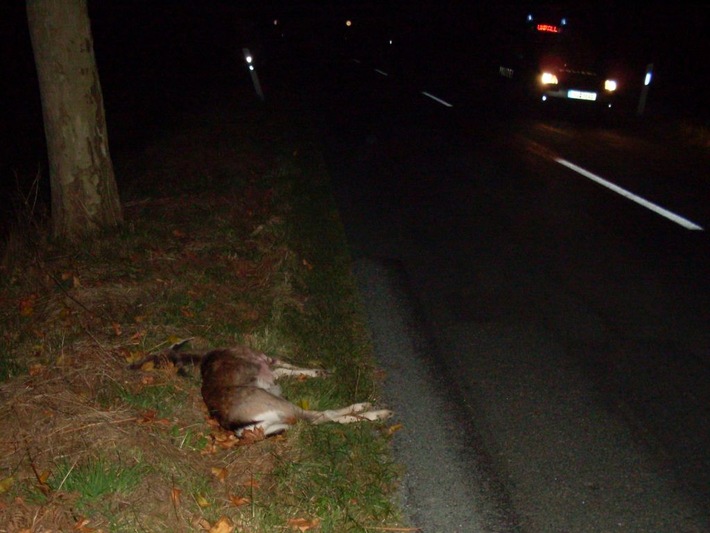 POL-NI: Wildwechsel - mit Beginn der dunklen Jahreszeit steigt das Risiko