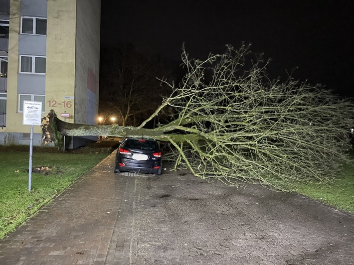 FW Bremerhaven: Baum auf Auto