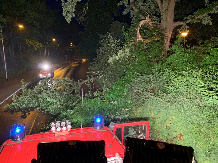 FW Celle: Baum auf Fahrbahn