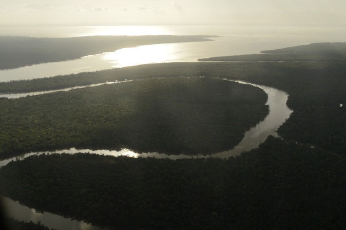 Dominoeffekt in Amazonasregion: Anpassungsfähigkeit durch globale Erwärmung und Abholzung gefährdet