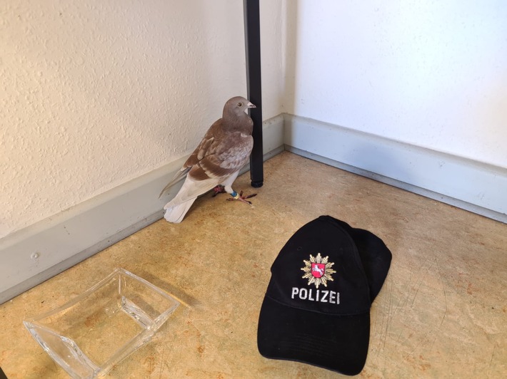 POL-GS: Polizei Langelsheim. Pressebericht v. 27.07.2021