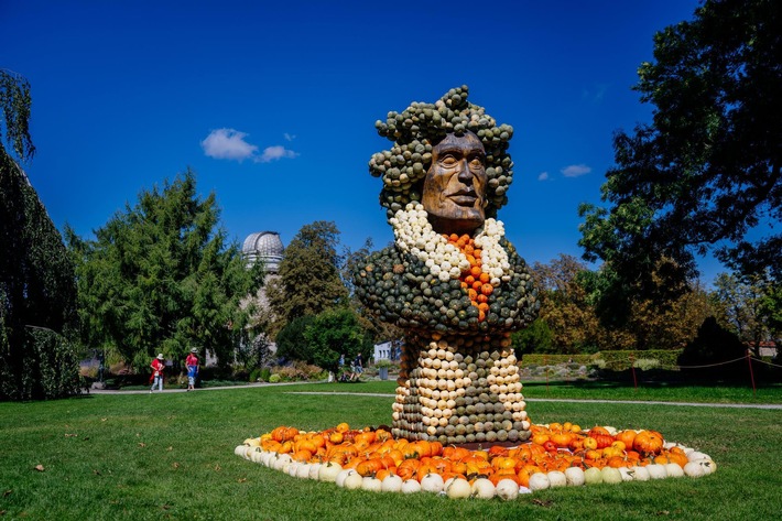 Grandiose Kürbismusik, günstige Familienwoche und spannende Danakilentdeckerführung / So abwechslungsreich sind die Herbstferienwochen im egaparkErfurt