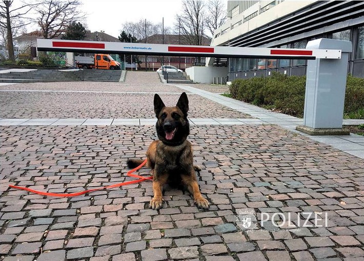 POL-PPWP: Entwarnung nach Bombendrohung