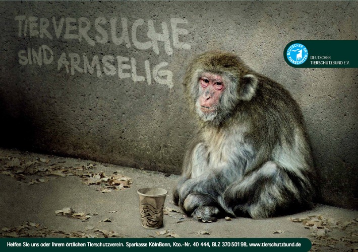 Neue Beweise: Forschungseinrichtungen in Deutschland an brutalem Fang und Handel von Affen für Tierversuche beteiligt