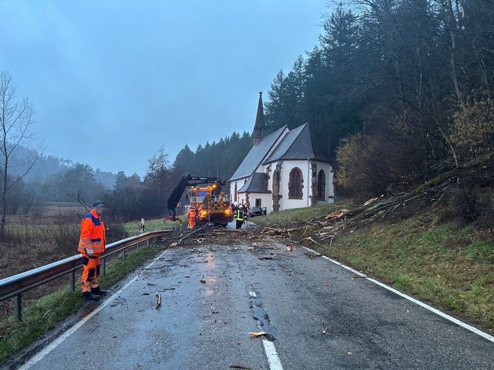 POL-PIDN: Umgestürzte Bäume sorgen für Unfall