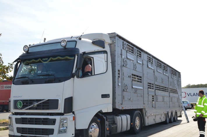POL-OS: Kontrolle des Güterverkehrs - Polizei beendet lange Reise eines Tiertransportes