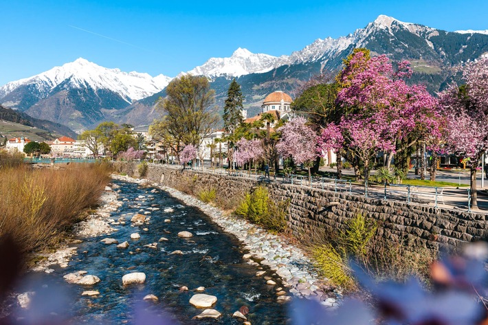 Frühling in Meran, wo glitzernder Schnee und mediterranes Klima aufeinandertreffen