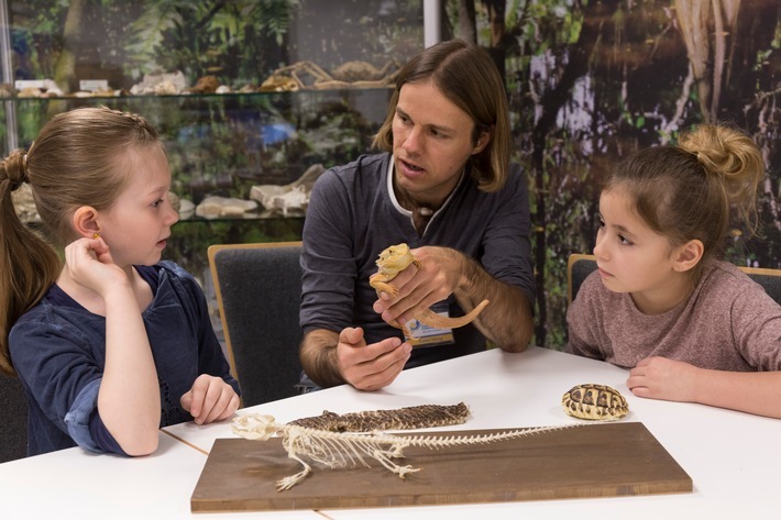 Wissenswertes über Eidechsen kann man zum Beispiel im Fossilium des Tierparks Bochum erfahren / Ferien mit Aha-Effekt: Studienkreis veröffentlicht E-Paper mit Tipps für einen kreativen Sommer und lädt Schüler zu Ferienkursen ein. Weiterer Text über ots und www.presseportal.de/nr/74867 / Die Verwendung dieses Bildes ist für redaktionelle Zwecke honorarfrei. Veröffentlichung bitte unter Quellenangabe: "obs/Studienkreis GmbH"