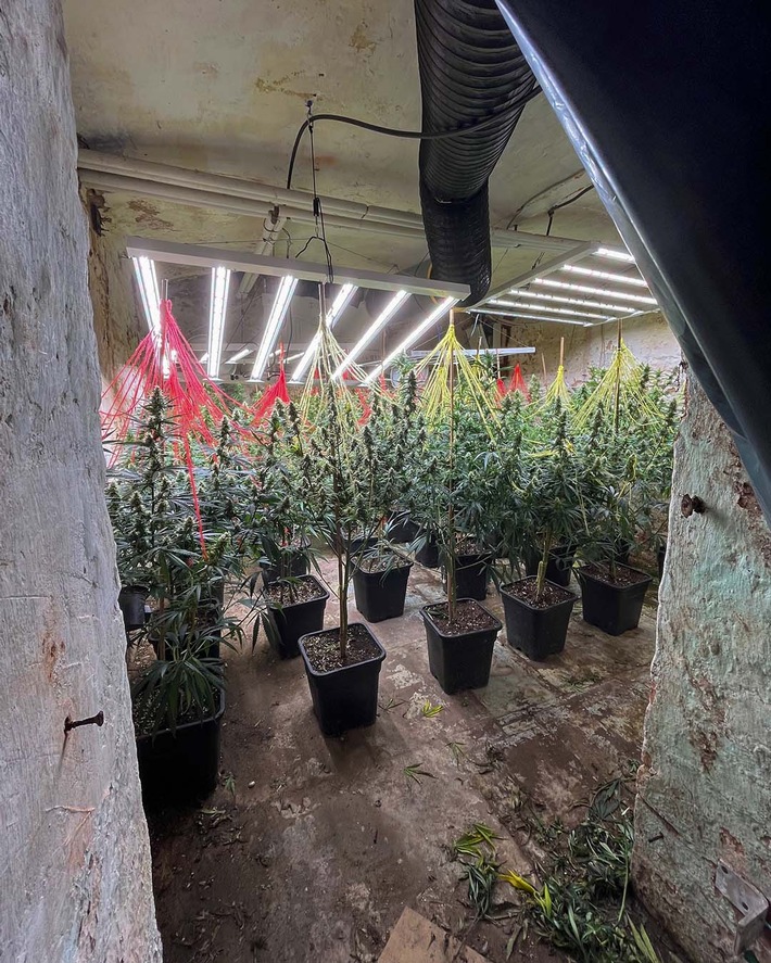 POL-LIP: Kreis Lippe. Gemeinsame Pressemitteilung der Staatsanwaltschaft Detmold und der Kreispolizeibehörde Lippe: Erfolgreicher Schlag gegen Rauschgiftbande - Bilanz des länderübergreifenden Einsatzes.