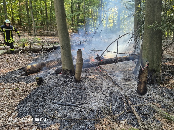 FW-AR: Feuerwehr Ense und Arnsberg bekämpfen Waldbrand