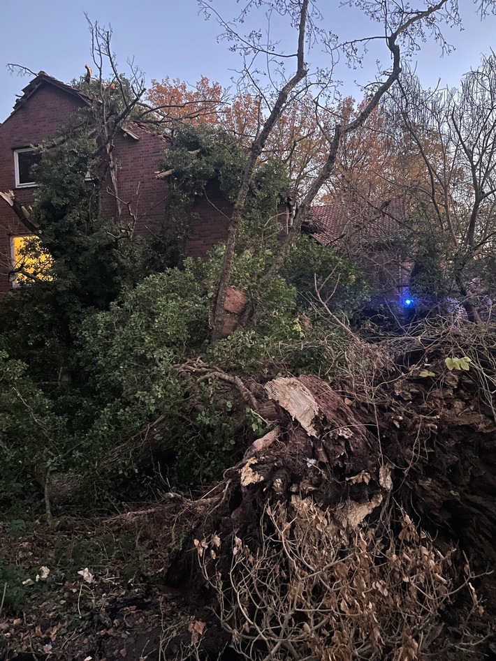 FW Flotwedel: Baum auf Haus - Ortsfeuerwehr Wienhausen eilt zur Hilfe