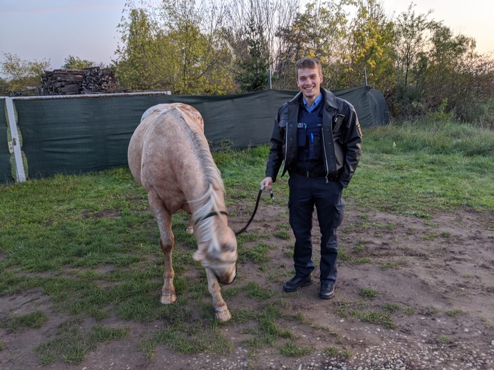 POL-PDNW: Pferd augebüxt