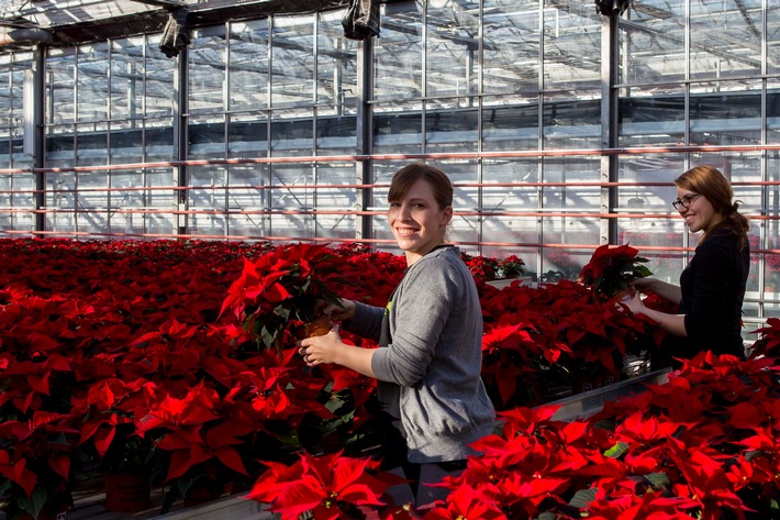 Grüne Branche mit Vorbild voran