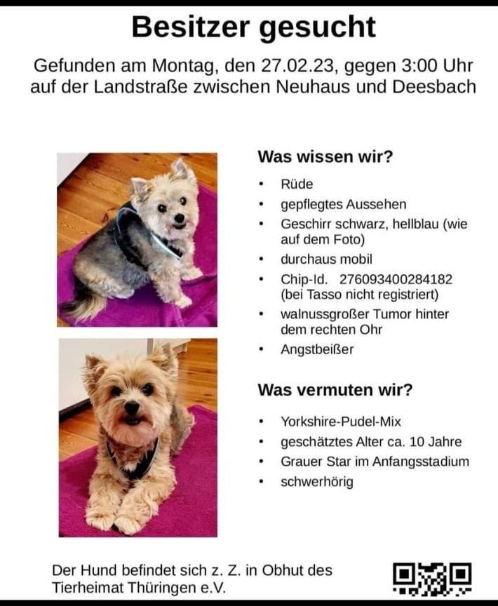 LPI-SLF: Suche nach Hundebesitzer