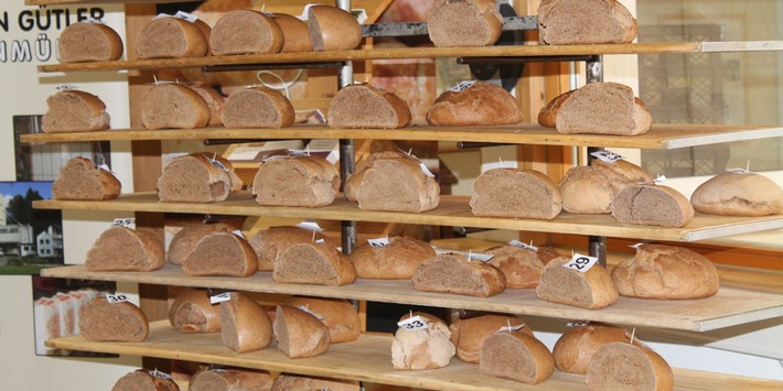 Brot-Aroma: Moderne und alte Weizensorten schmecken gleich gut