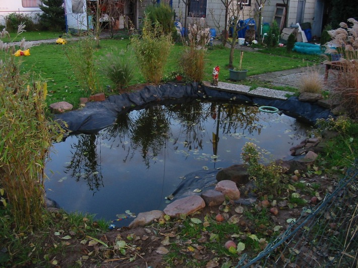 POL-HOL: Gefährlicher Gartenteich in Gartenkolonie: Zweijähriges Mädchen in Gartenteich gefallen - Sofortige Wiederbelebung erfolgreich / Kind zur Beobachtung im Krankenhaus