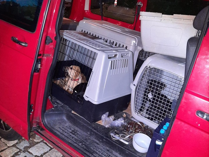 Bundespolizeidirektion München: Welpentransport gestoppt/ Bundespolizei befreit acht Hunde aus misslicher Lage