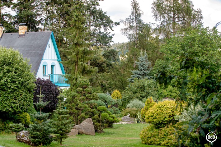 Der immergrüne Garten - eine Augenweide auch in der kalten Jahreszeit